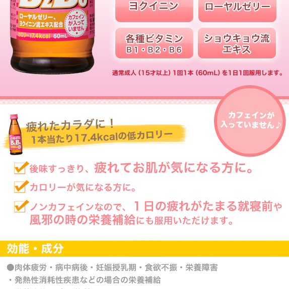 ユンケルローヤルB2B6　１０本セット　